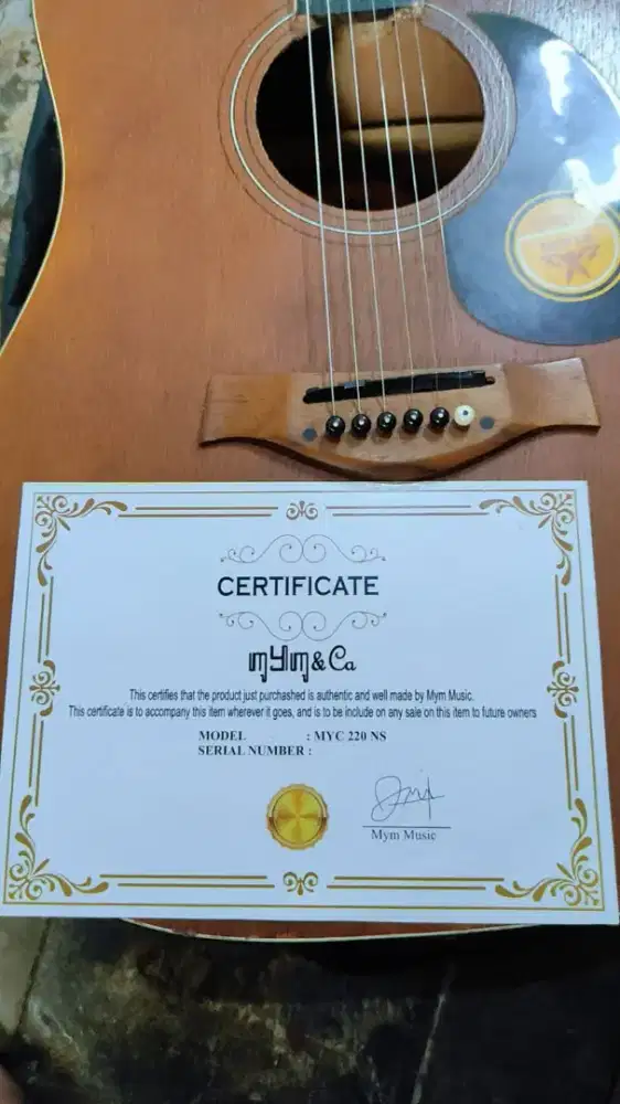 Jual gitar masih oke