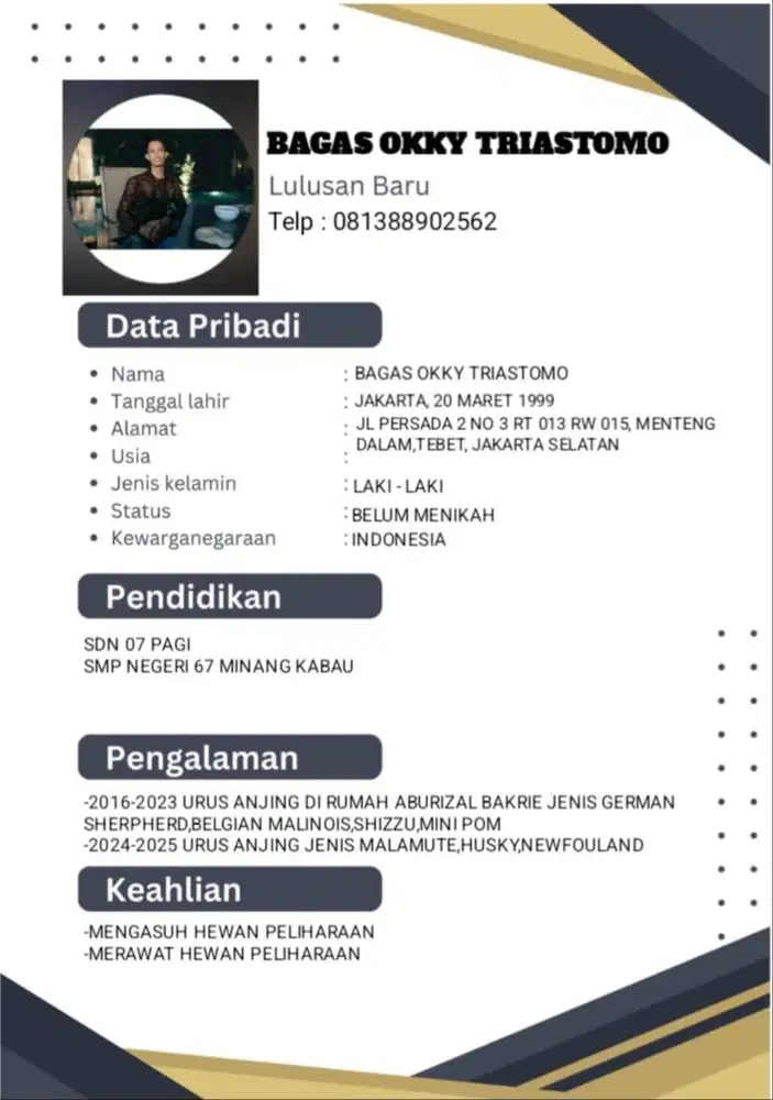 Saya lagi cari pekerjaan kennel boy