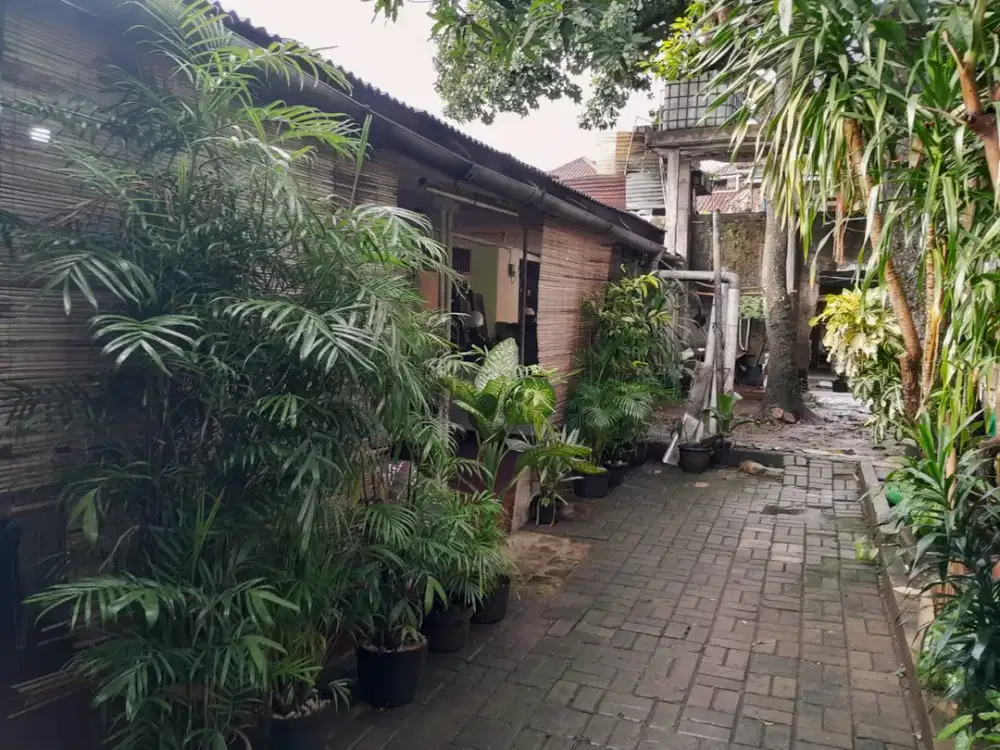 DIJUAL RUMAH HITUNG TANAH di PONDOK LABU -  JAKARTA SELATAN