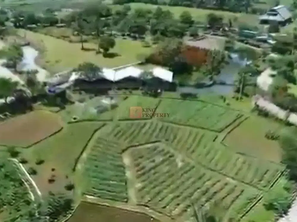 Dekat Pasar Ciampea, Dramaga & Kampus IPB, Dijual Tanah Kavling SHM 6,15 Hektar di Ciampea Bogor