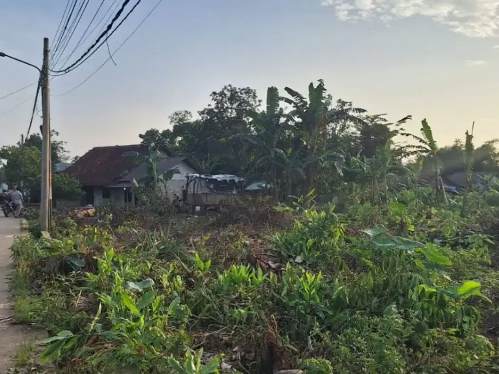 DIjual Murah Tanah Kavling SHM DImulai 1 Jt-an Di Cisauk Tangerang