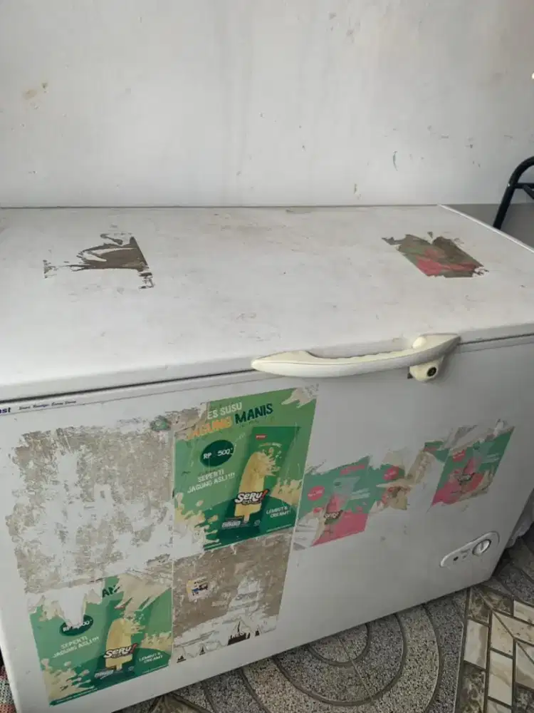 Freezer box Dast 250L