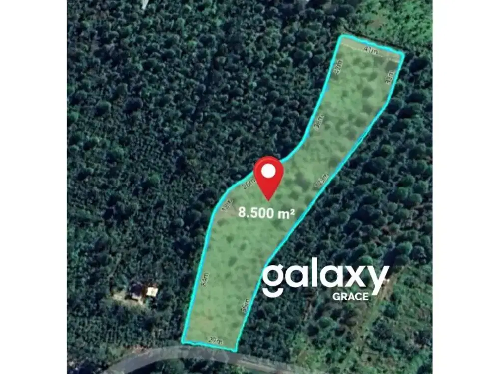 DIJUAL TANAH PERKEBUNAN DURIAN DAN KOPI DI TINGGARSARI BUSUNG BIU BULELENG, BALI