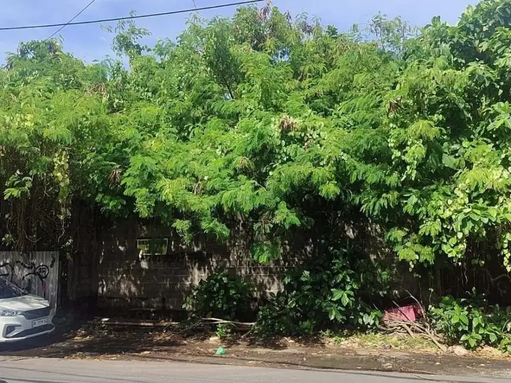 Tanah Komersil 8 Are Disewakan, di Dewi Sri, Seminyak Area