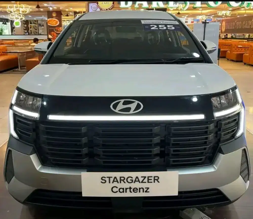 Stargazer Cartenz style