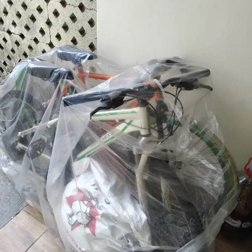 Dijual 2 sepeda pixy genio  dan sepeda gunung  wimcycle