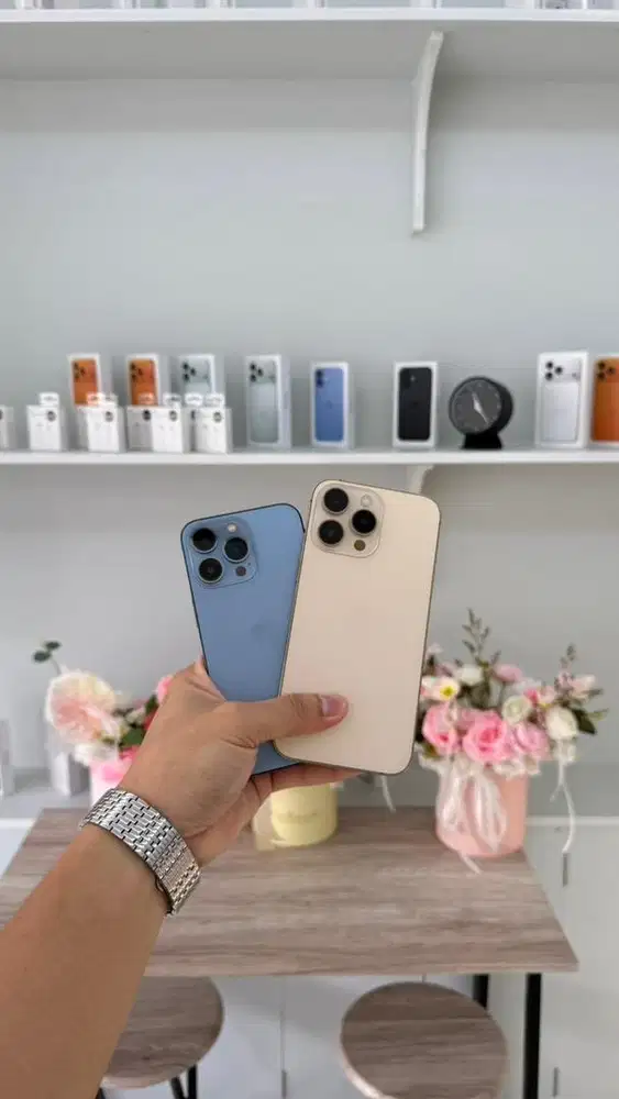 iPhone 13 pro 13 promax