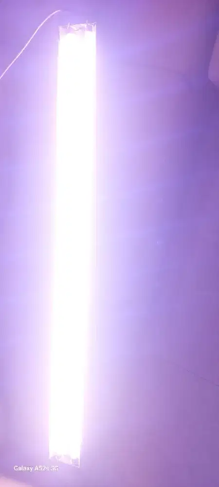 Lampu taning Mayin arwana SR