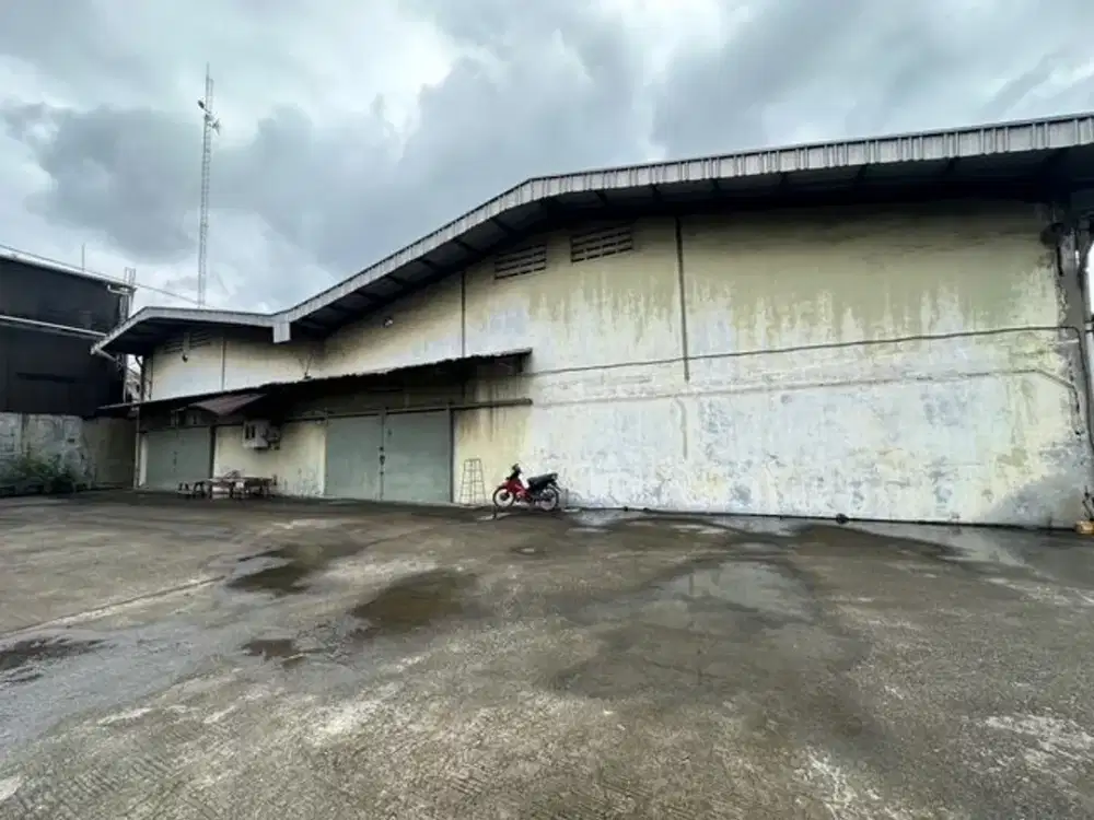 Disewa Gudang Kapuk Kamal bebas banjir uk 540m at Jakarta Utara