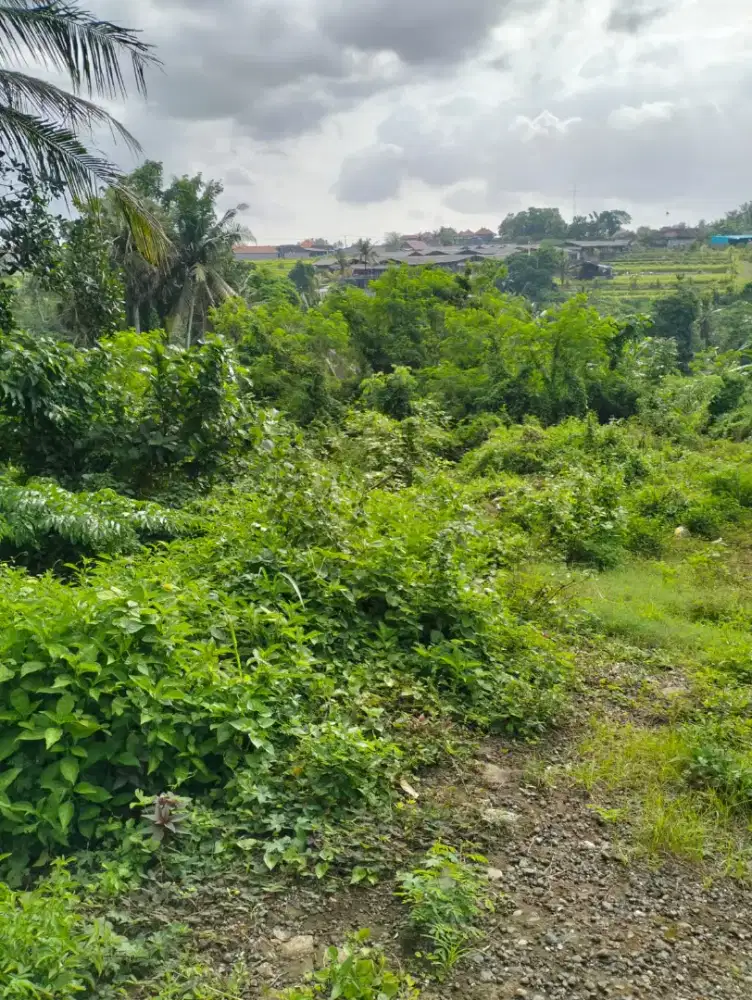 Tanah Jungle View, untuk Villa /  Yoga Retreat