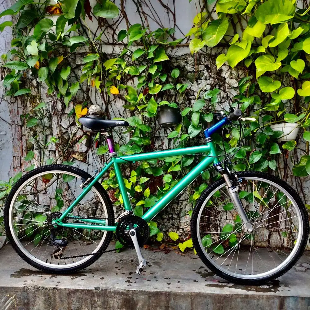 Mtb toyo asahi ori tembus nomer rangka