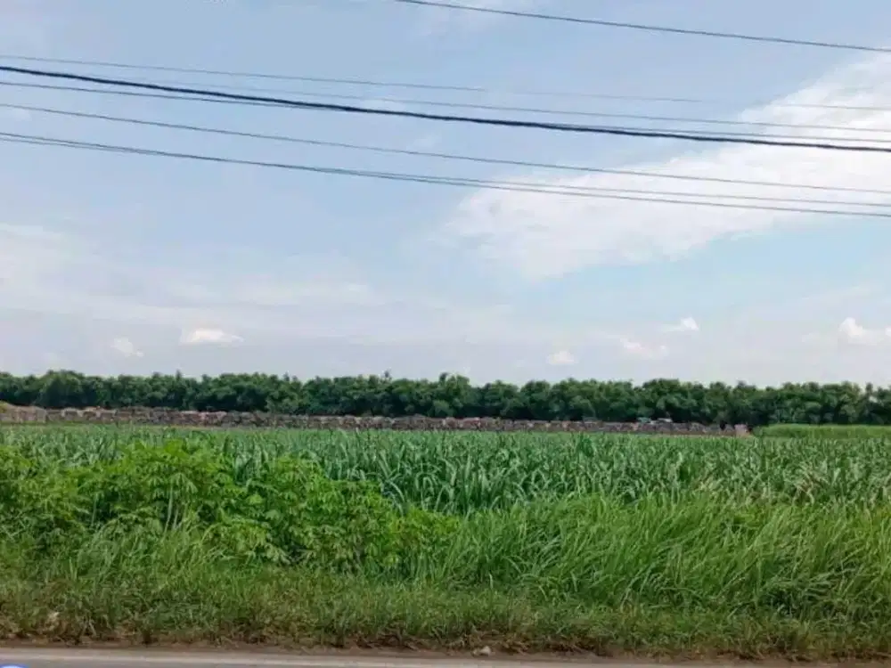 Tanah Lokasi Strategis di Pinggir Jalan Raya Provinsi, Jombang