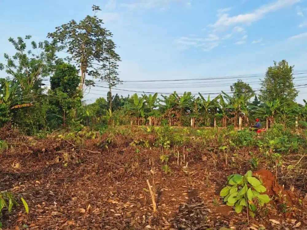 Dimulai 1 Jt- an Murah Tanah Kavling SHM 10 Menit Stasiun Jatake Cisauk