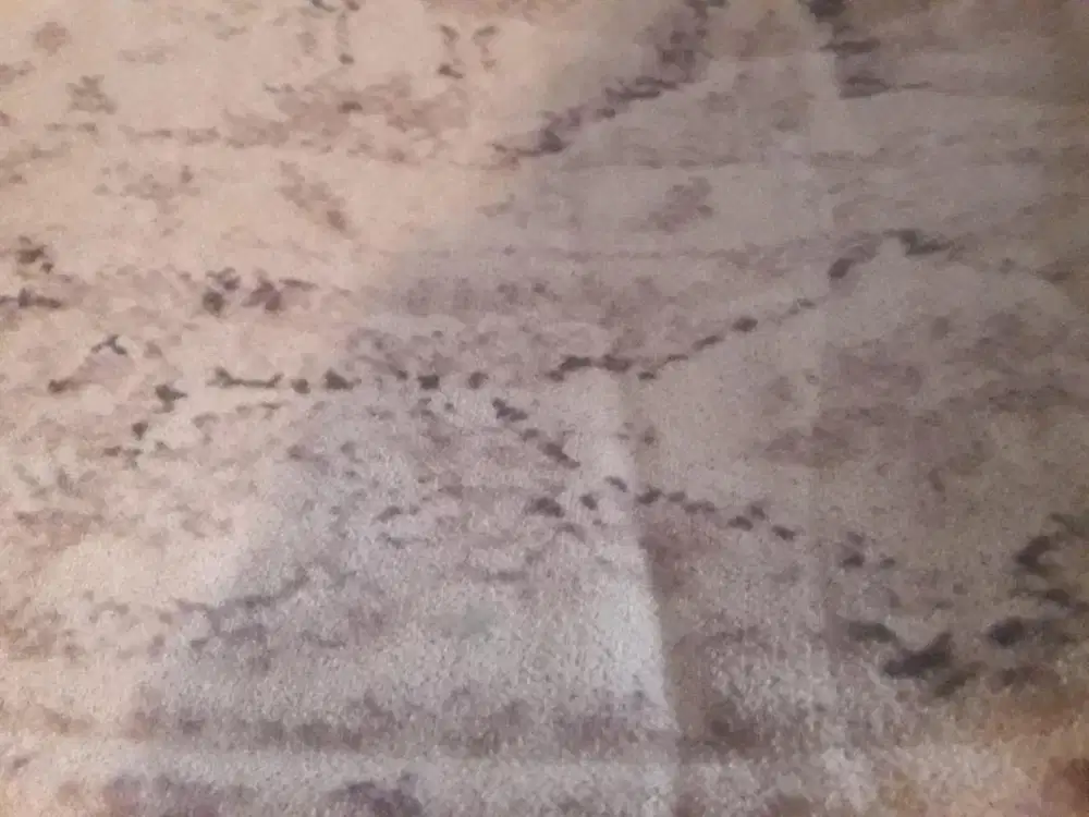 Karpet anti slip 2x3 propolyne