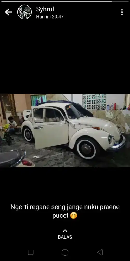 VW KODOK ORIGINAL
