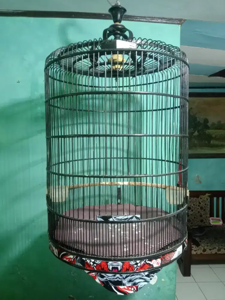 Sangkar Murai No 3 dm 54 Bekas layak pakai aman, Tampa krodong