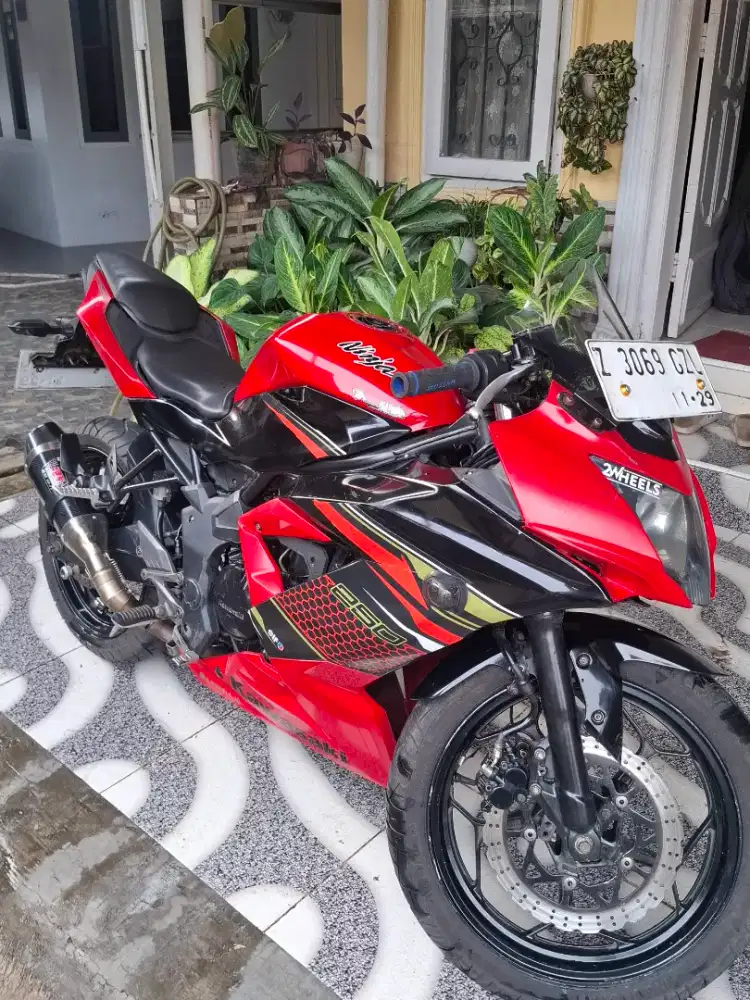 Kawasaki Ninja Mono 250