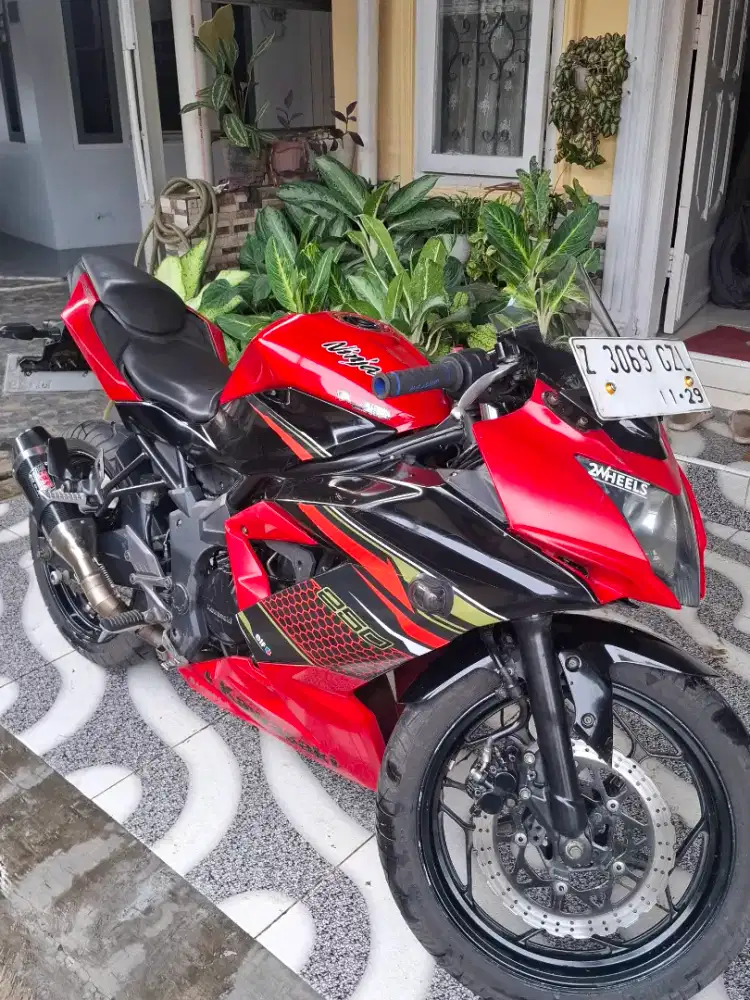 Kawasaki Ninja 250 Mono