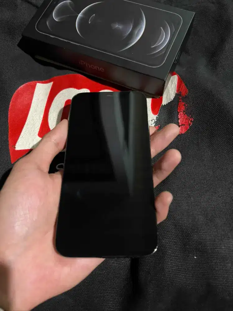 iPhone 12 Pro 256B ex Inter