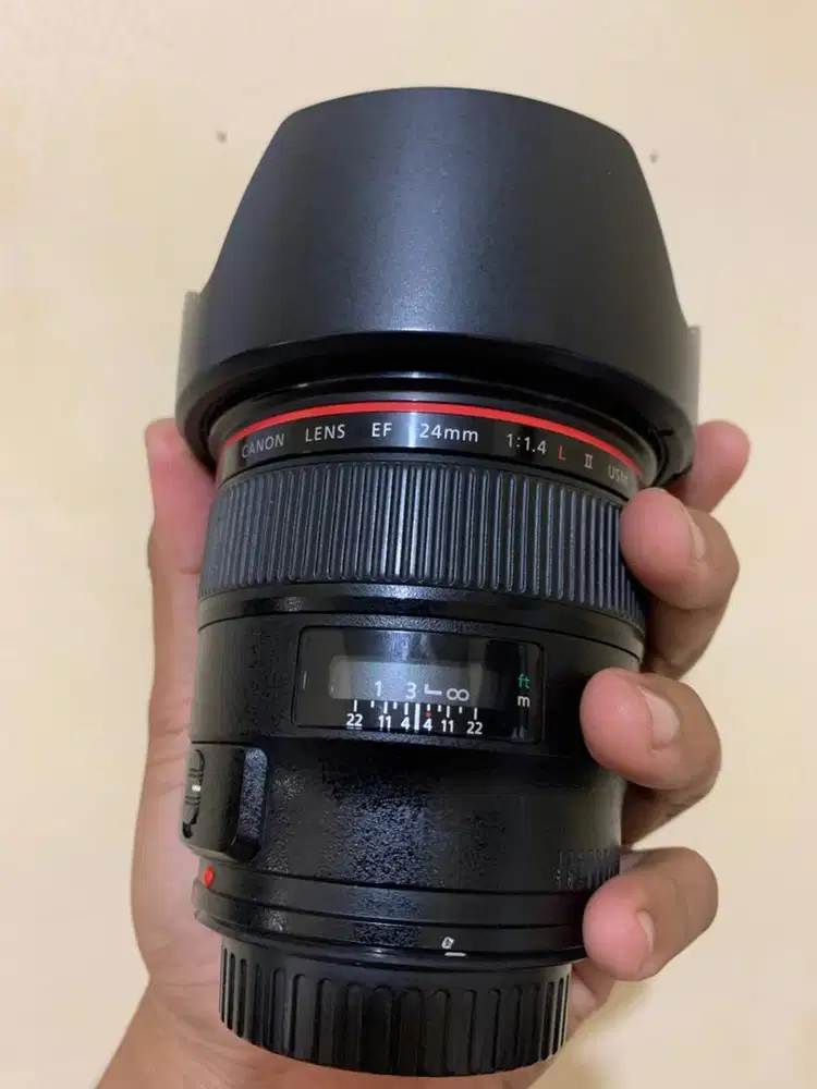 Canon L series 24mm 1.4 mark II