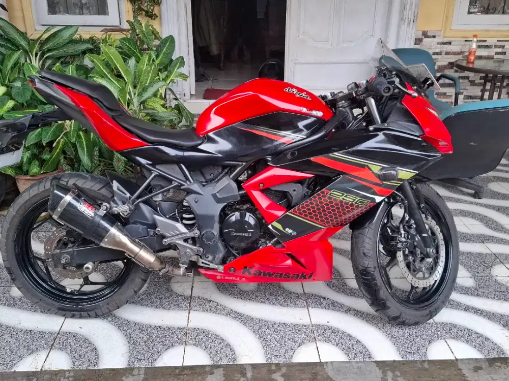 Kawasaki Ninja 250 mono