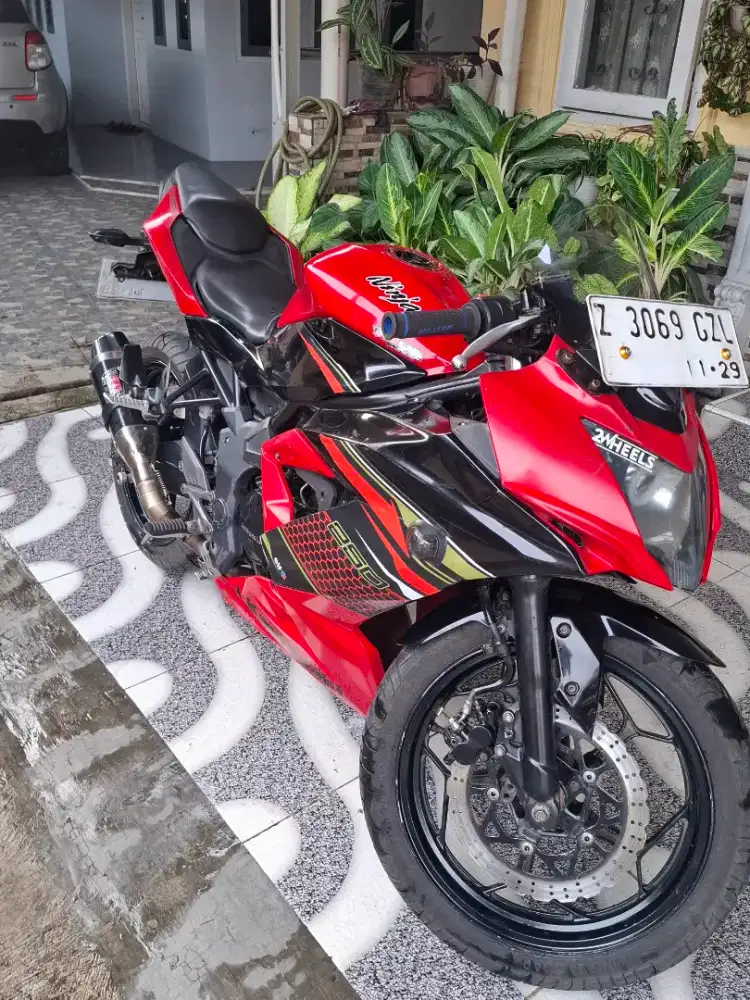 Kawasaki Ninja 250 mono red