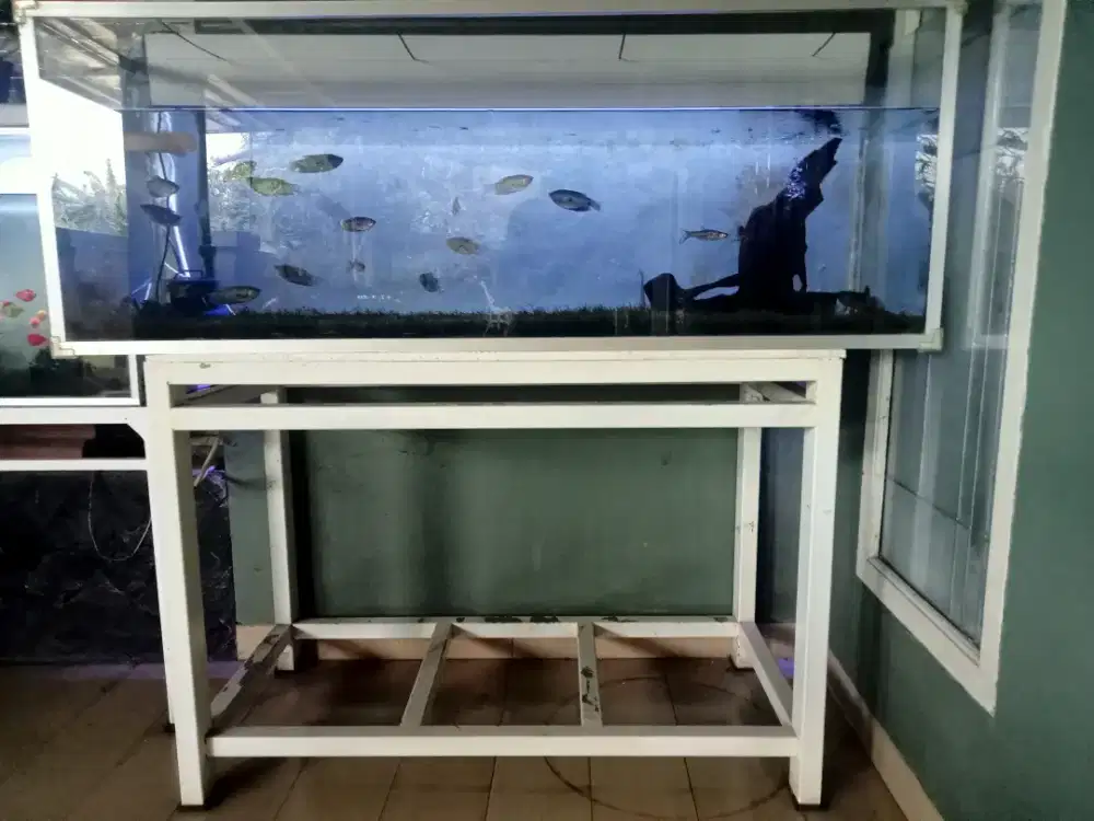 1 set aquarium lengkap