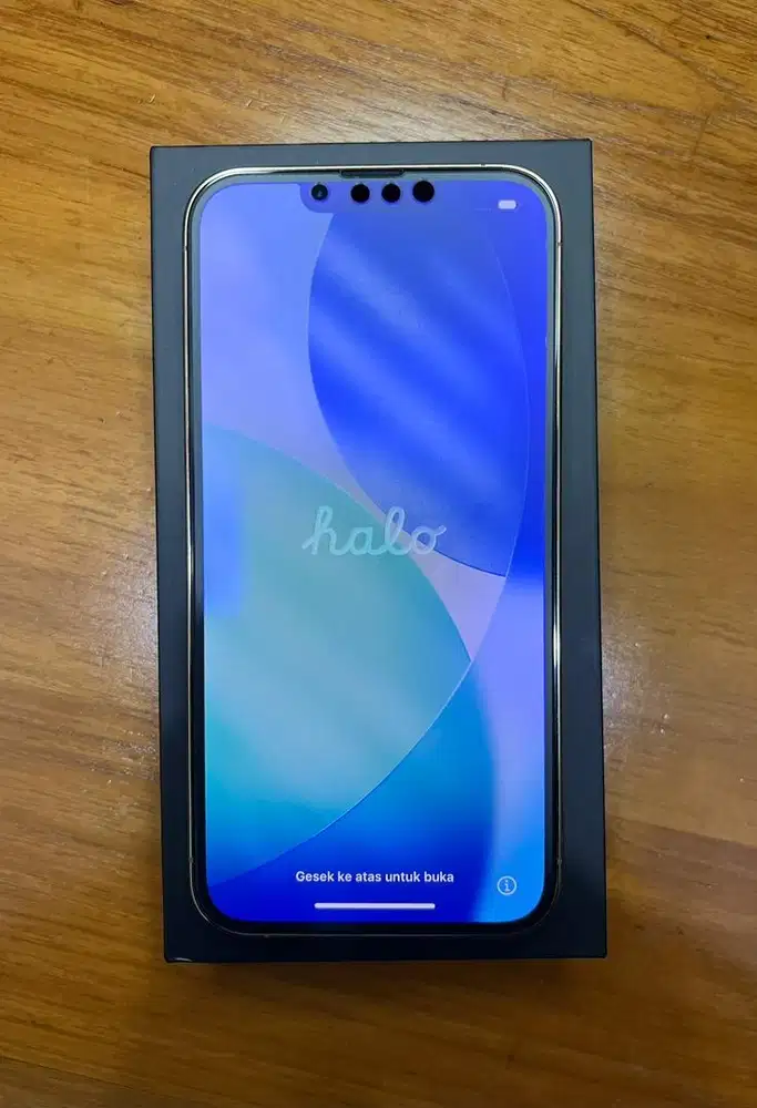 IPhone 13 Pro (mulus/komplit)