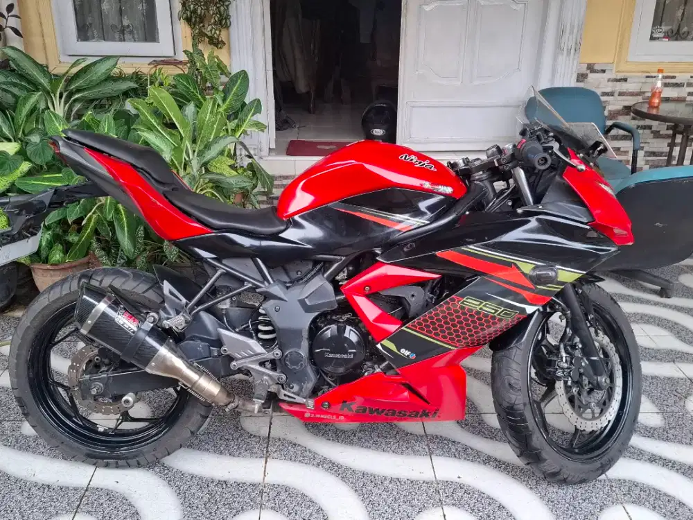 Kawasaki Ninja 250 Mono