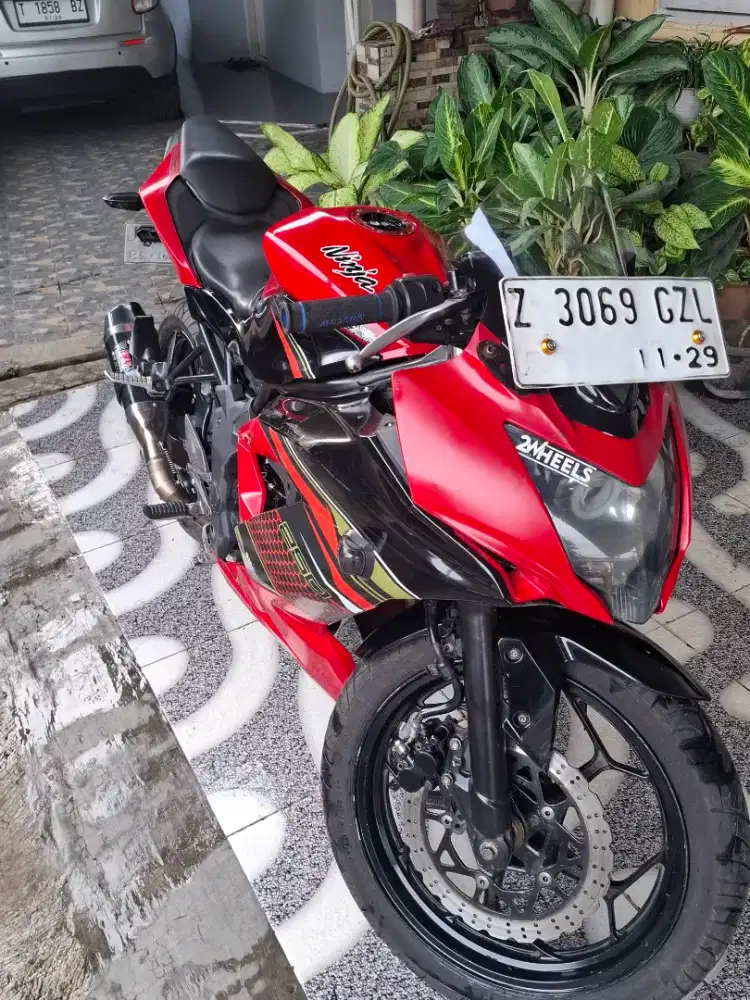 Kawasaki Mono 250cc plat Z