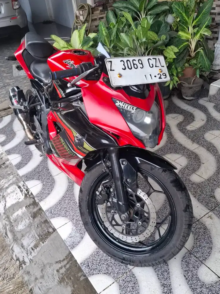 Kawasaki Ninja Mono  250cc