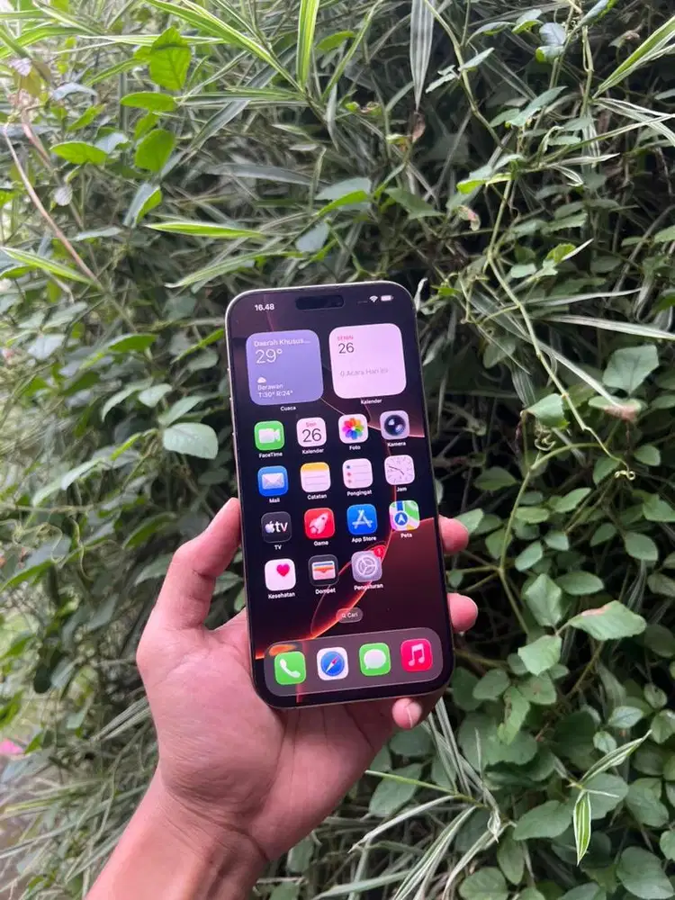 Iphone 16 promax 256gb disert