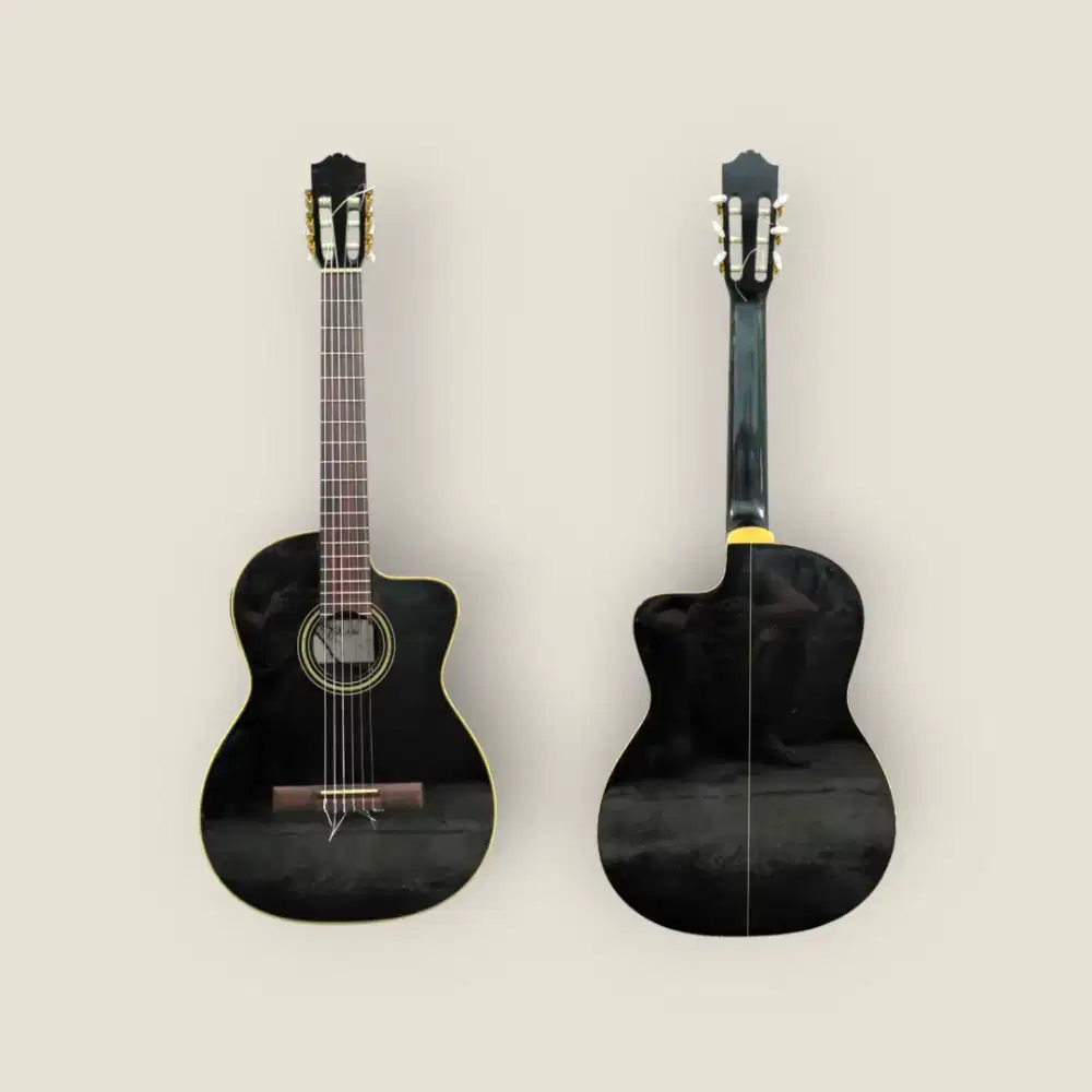 Takamine ED 31 C BL made in china