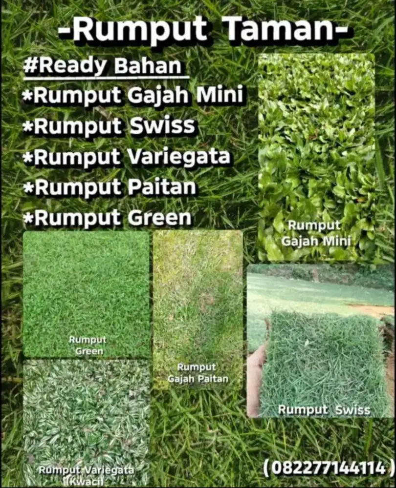 Jasa Pembuatan Taman Hias