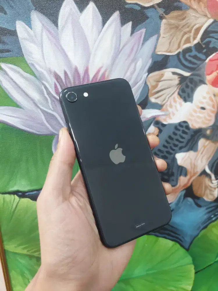 Iphone Se 64 GB Ibox Batang