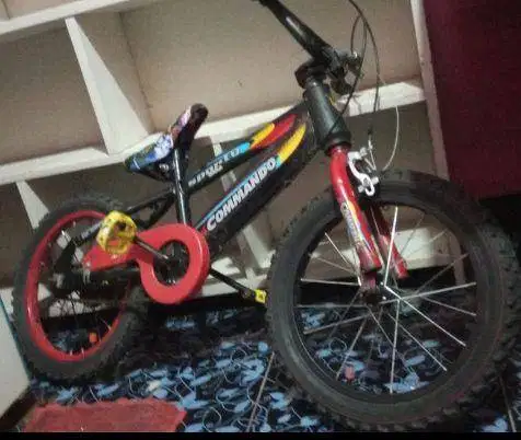 Sepeda Anak 16' Bekas Baik