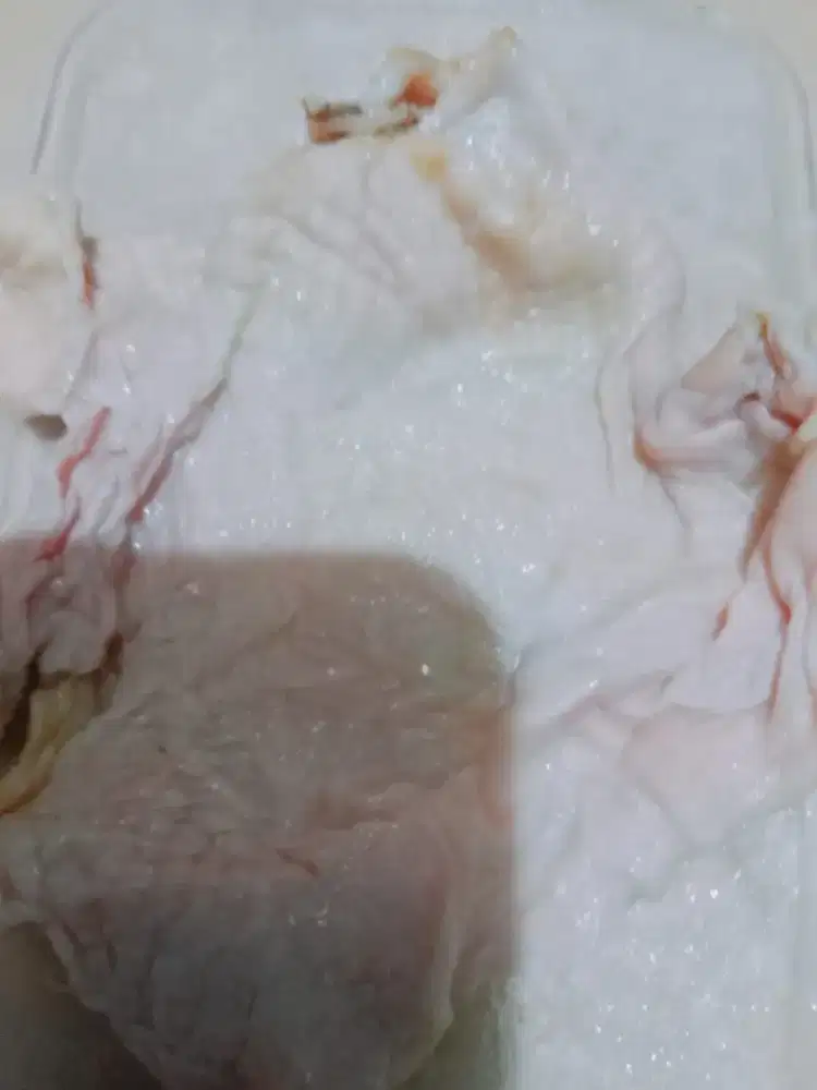 Kulit ayam bekas fillet