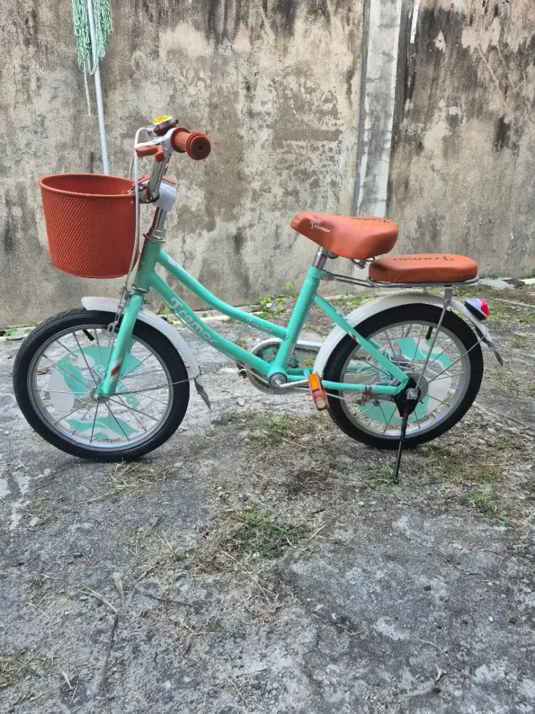 Sepeda anak Centrum tremor 16 inch