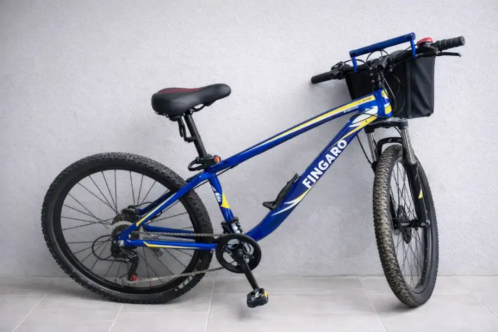 SEPEDA MTB FINGARD SC 80 D