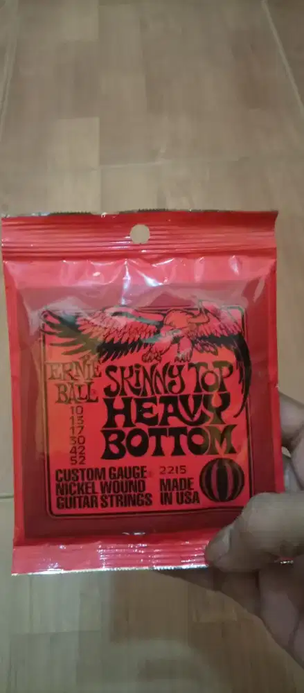 Senar gitar ernie ball