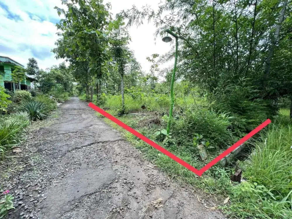 Jual tanah murah timur pasar Karangmojo Gunungkidul  strategis pekarangan subur