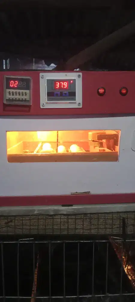 Mesin tetas bonus isinya 10 butir