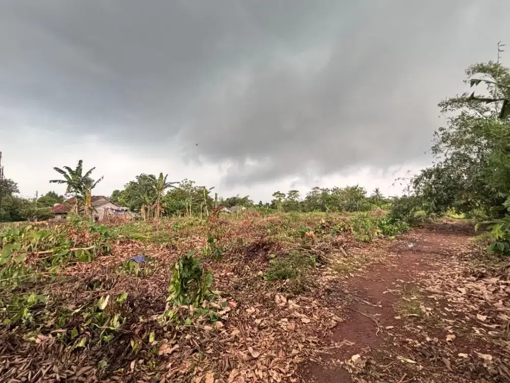 Tanah Murah Cisauk 100Jtan - SHM - Nempel Tol & Stasiun