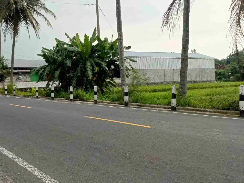 tanah bimomartani ngemplak sleman