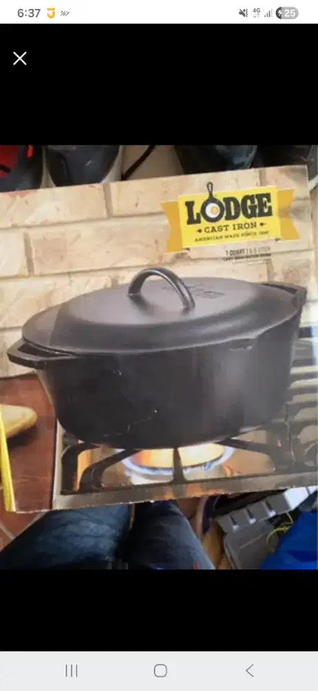 Lodge cast iron 7