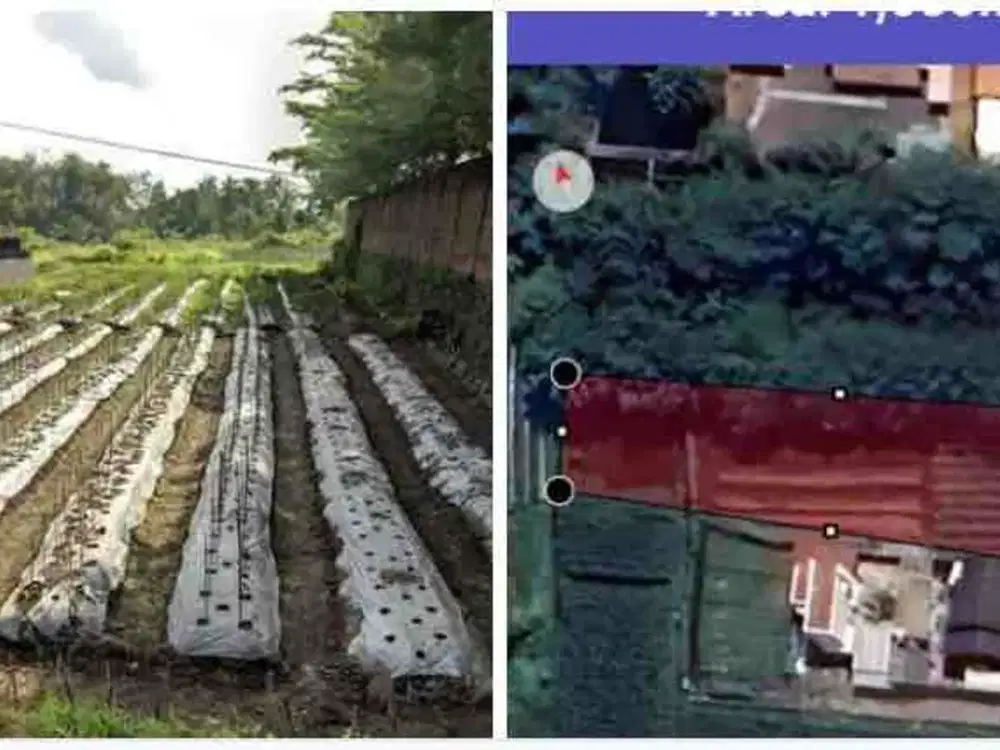 Di sewakan tanah luas strategis di jl x urang