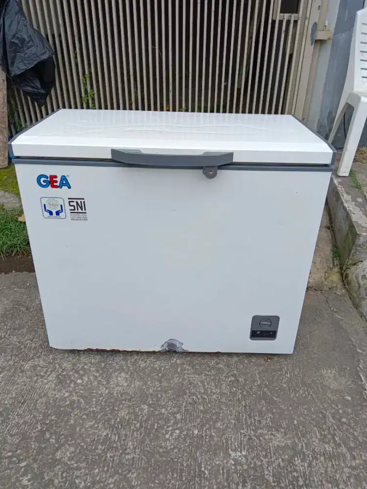 Frezer Box GEA 200 liter
