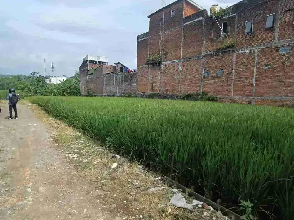 Tanah Murah Merjosari Strategis Area Padat Kos Kosan, Dekat UIN dan UB