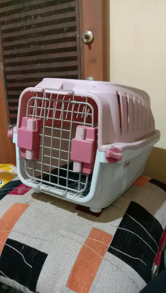 Kandang buat bawa kucing