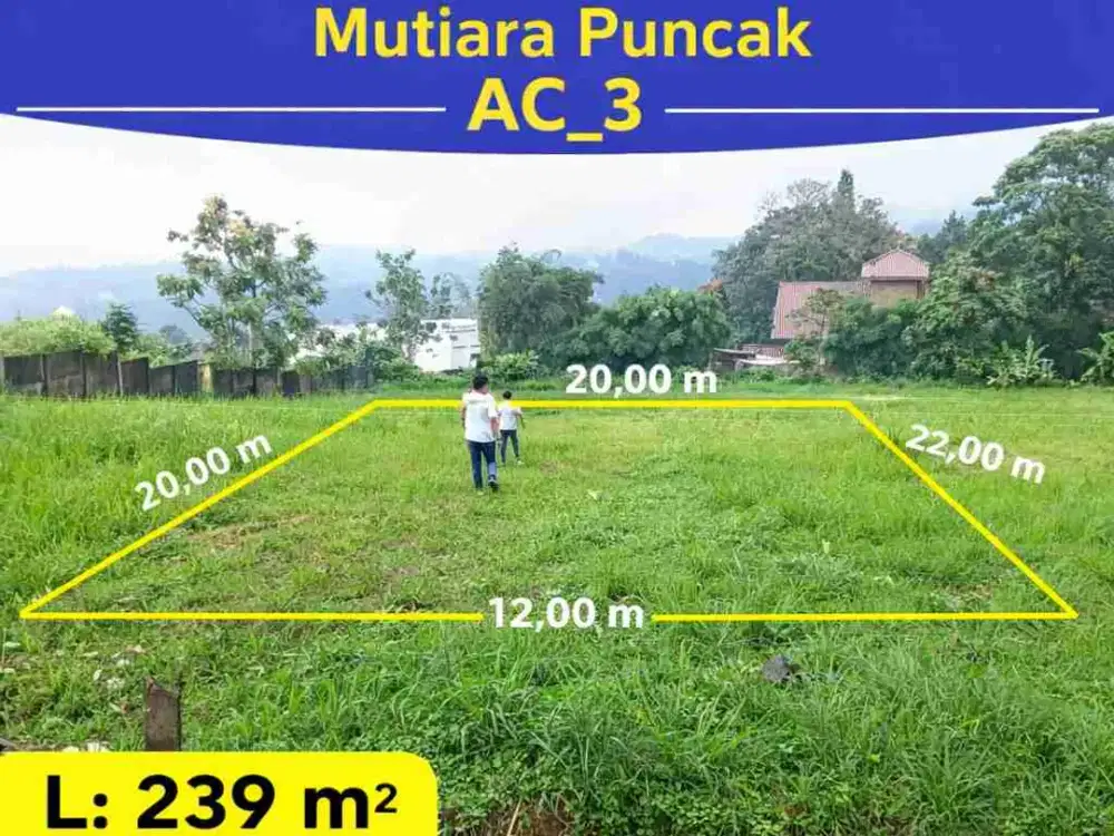 Tanah puncak Di jual  Lokasi mutiara     Legalitas SHM siap bangun permanen view perbukitan